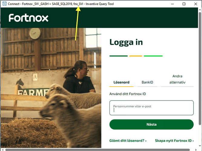Fortnox data contaienr alias fnx_SVI